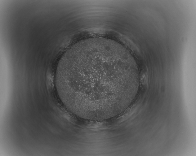 X0000112380772200908201521