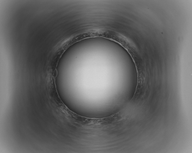 X0000112380773200908201521