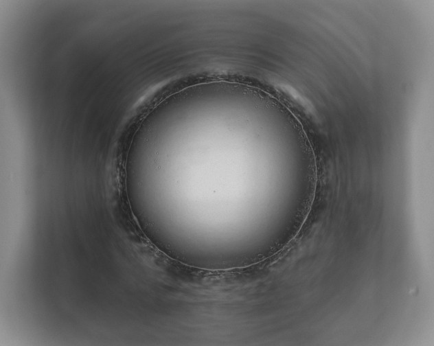 X0000112380776200908201521