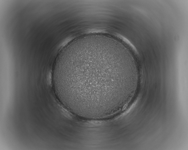 X0000112380777200908201521