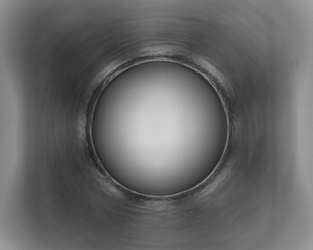 X0000112380778200908201521