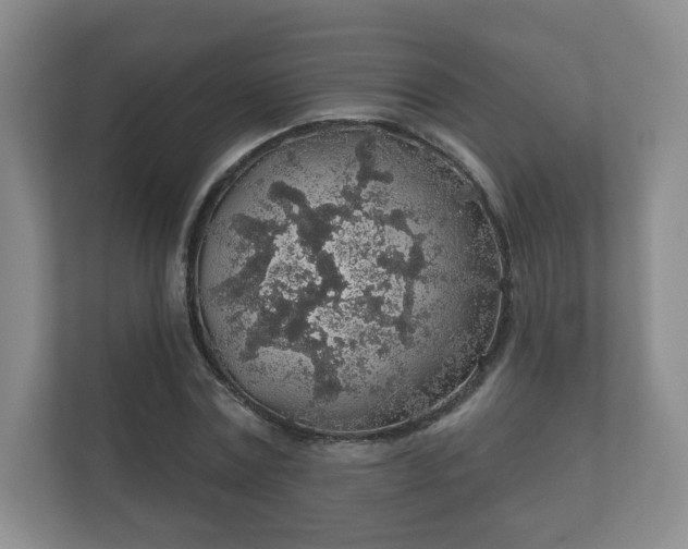 X0000112380779200908201521