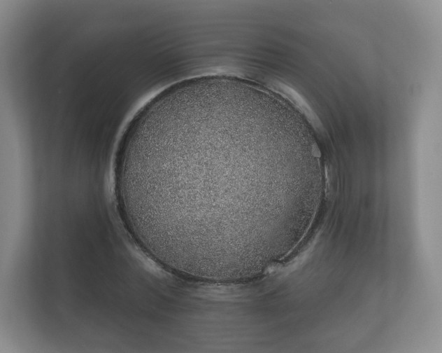 X0000112380780200908201521