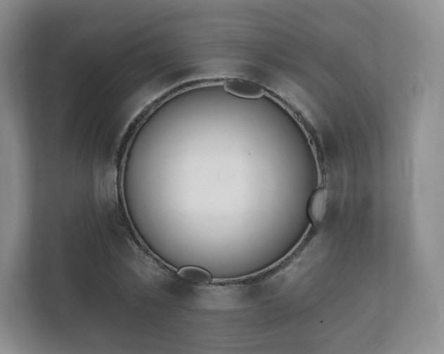 X0000112380781200908201521