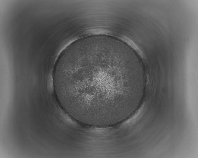 X0000112380782200908201521