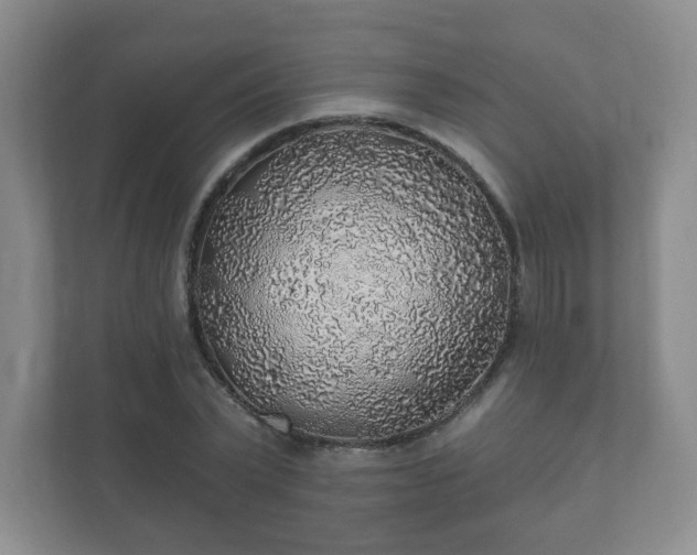 X0000112380783200908201521