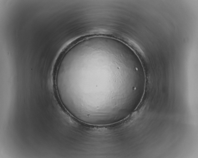 X0000112380784200908201521