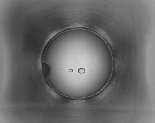 X0000112380789200908201521