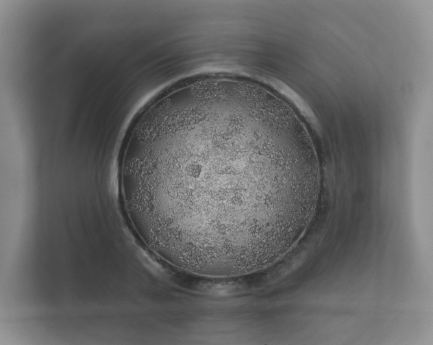 X0000112380791200908201521