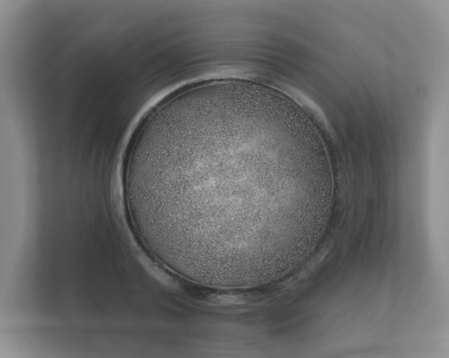 X0000112380792200908201521