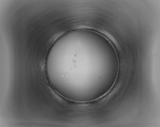 X0000112380793200908201521