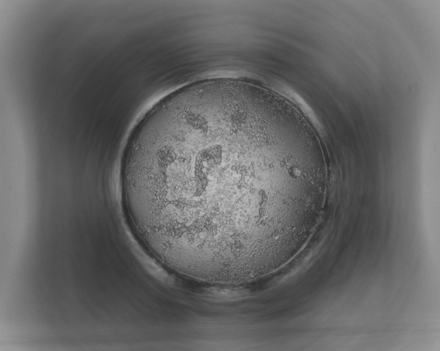 X0000112380795200908201521