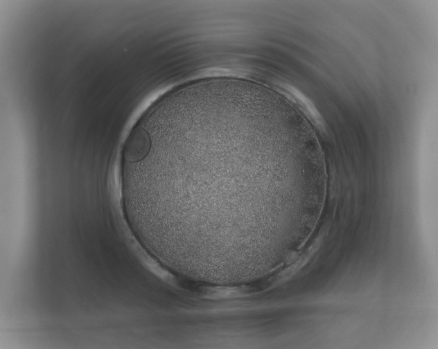 X0000112380796200908201521