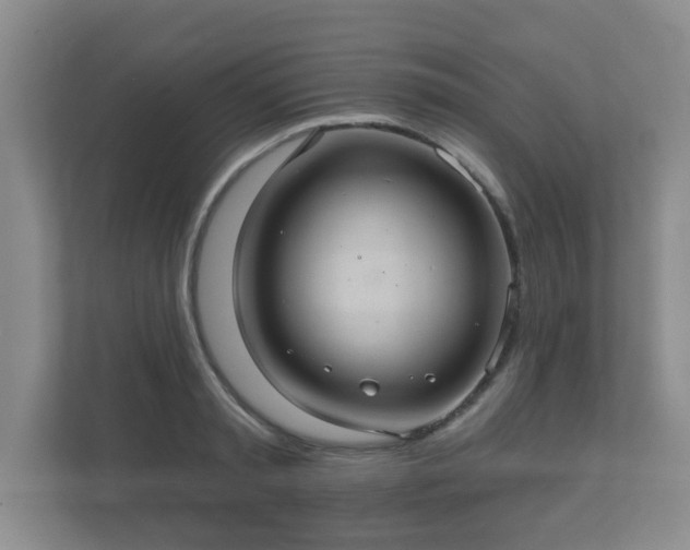 X0000112380797200908201521