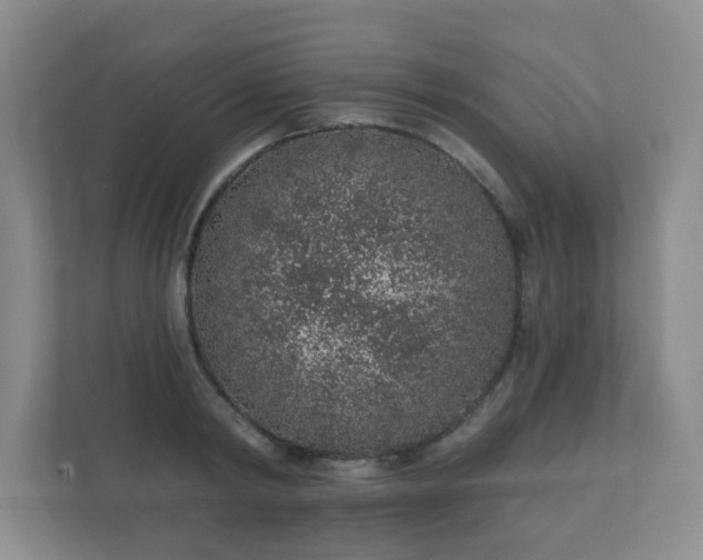 X0000112380798200908201521