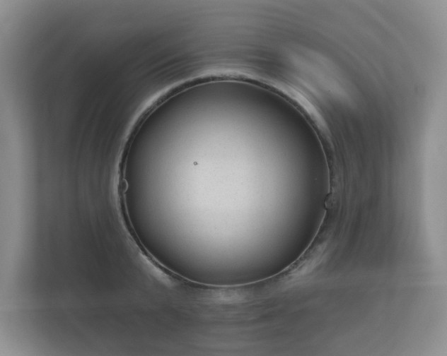 X0000112380799200908201521