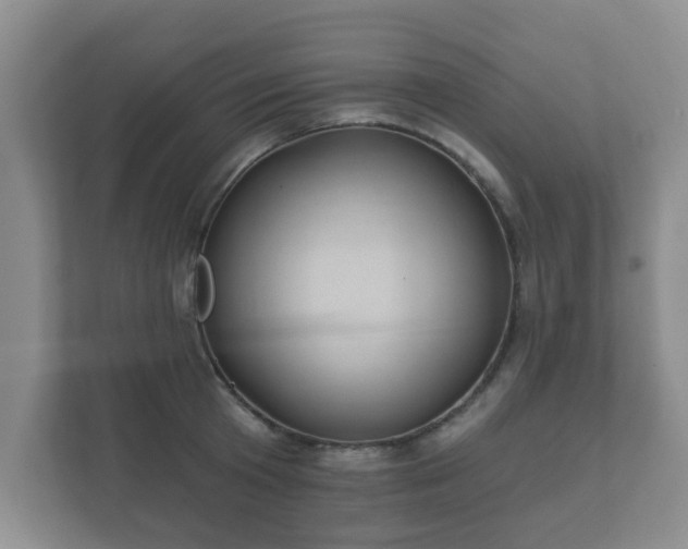 X0000112380801200908201521