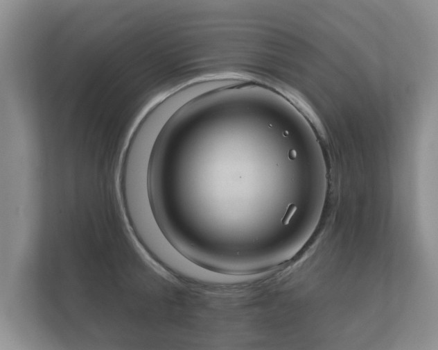 X0000112380805200908201521