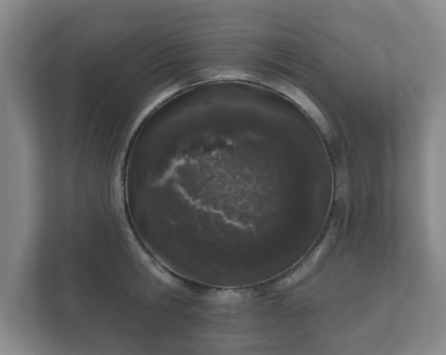 X0000112380806200908201521