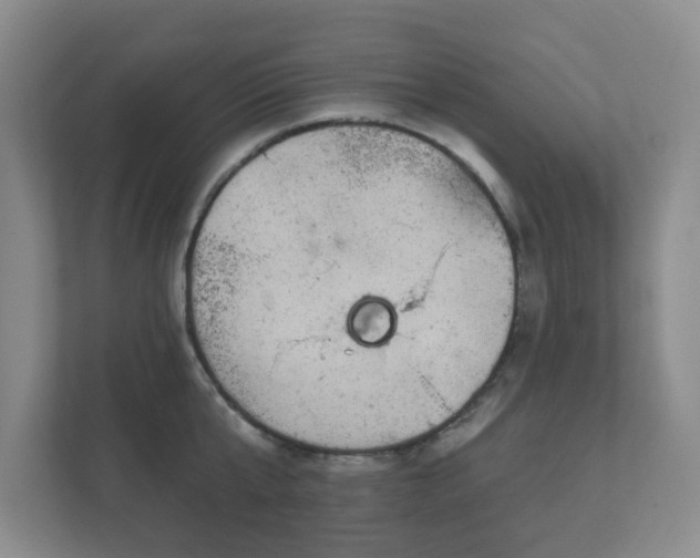 X0000112380807200908201521