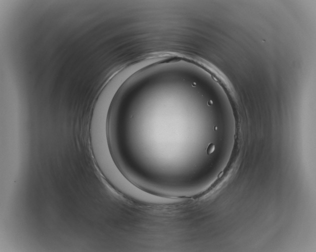 X0000112380809200908201521