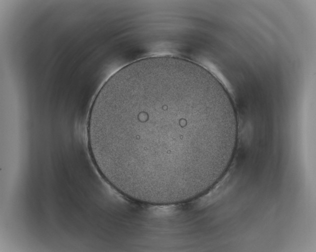 X0000112380810200908201521