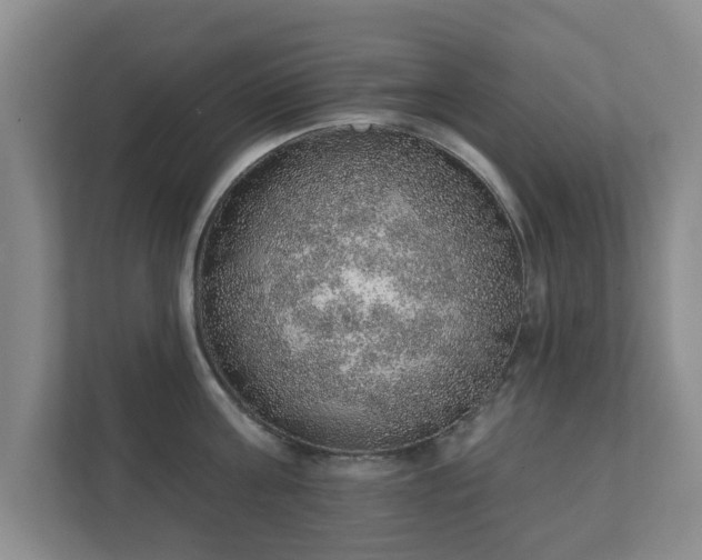 X0000112380811200908201521