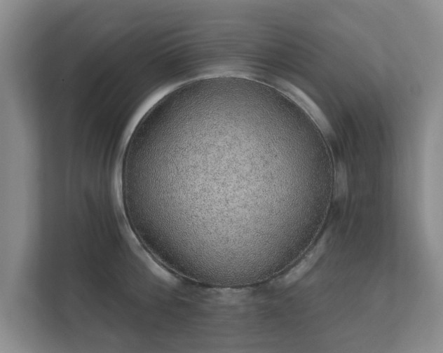 X0000112380812200908201521