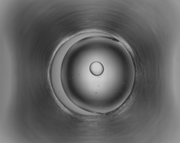 X0000112380813200908201521