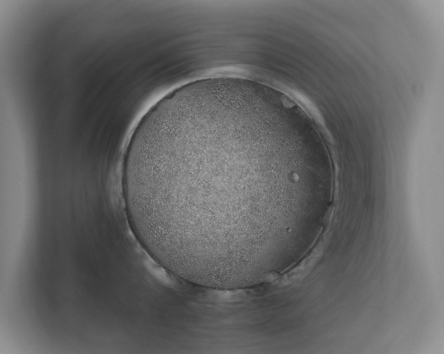 X0000112380816200908201521