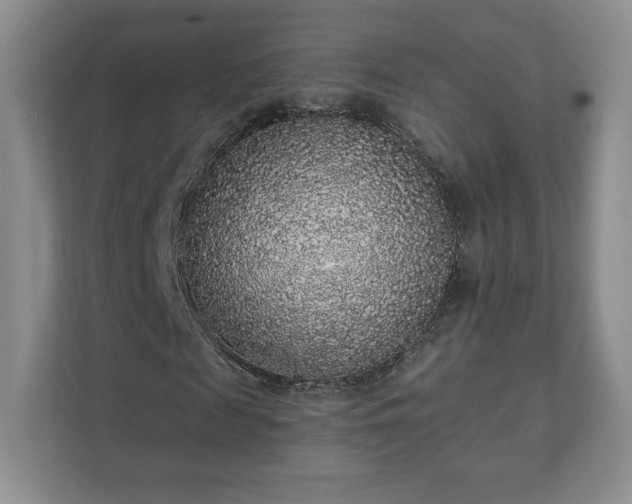 X0000112380817200908201520