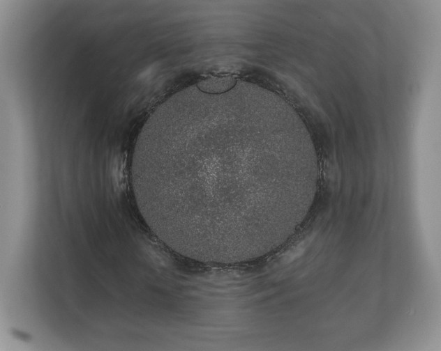 X0000112380818200908201520