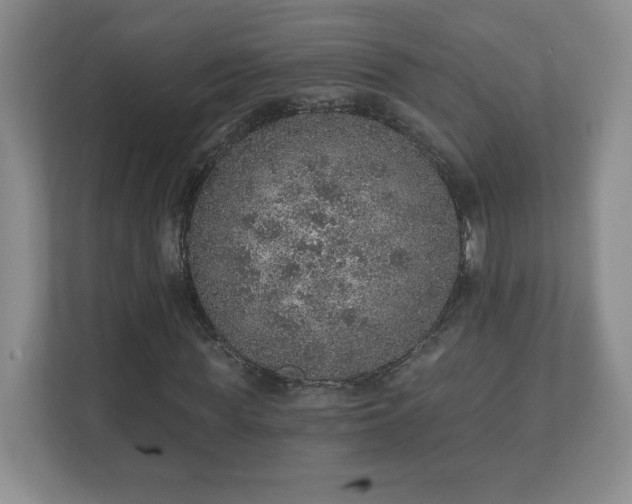 X0000112380819200908201520