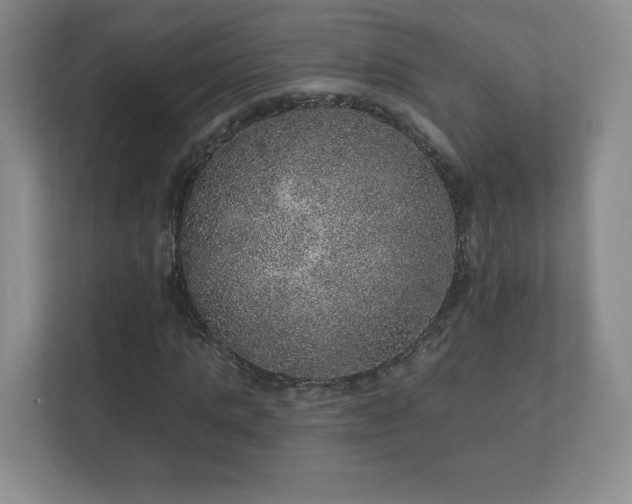 X0000112380821200908201520