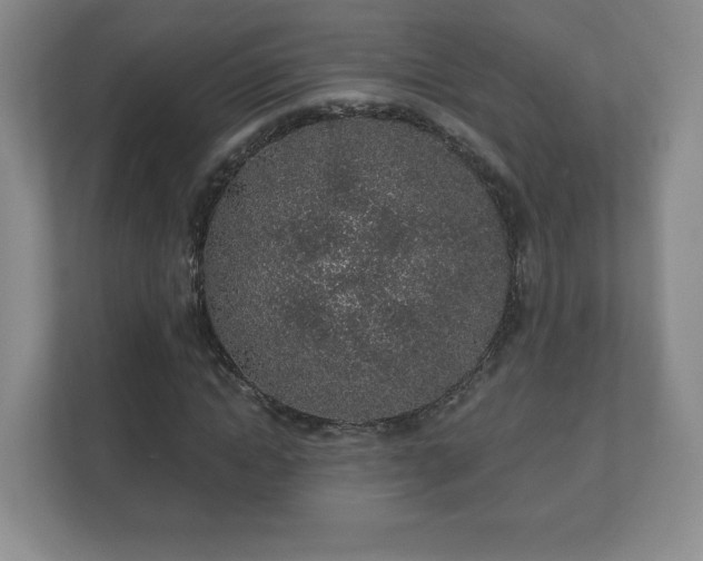 X0000112380822200908201520