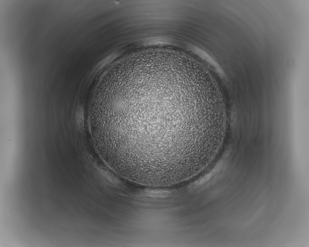 X0000112380825200908201520