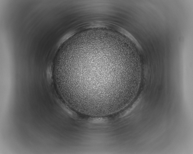 X0000112380826200908201520