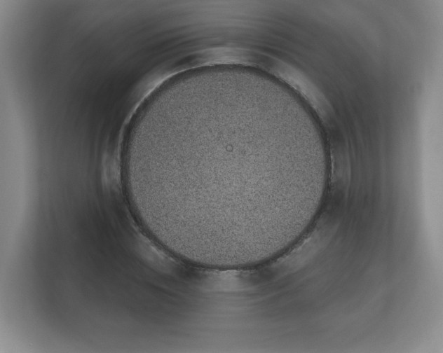 X0000112380828200908201520