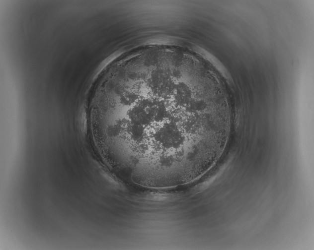 X0000112380829200908201520