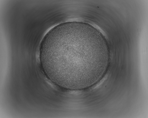 X0000112380830200908201520