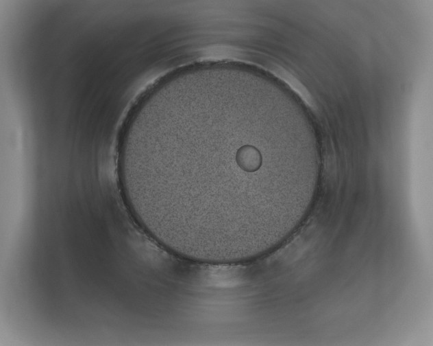 X0000112380832200908201520