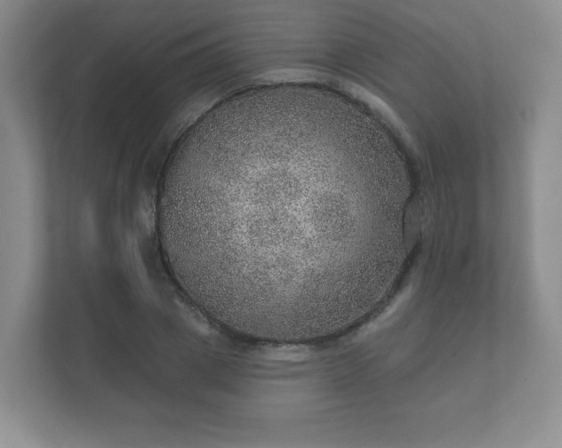 X0000112380833200908201520