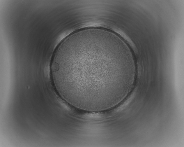 X0000112380834200908201520