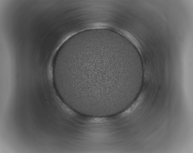 X0000112380835200908201520