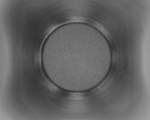 X0000112380836200908201520