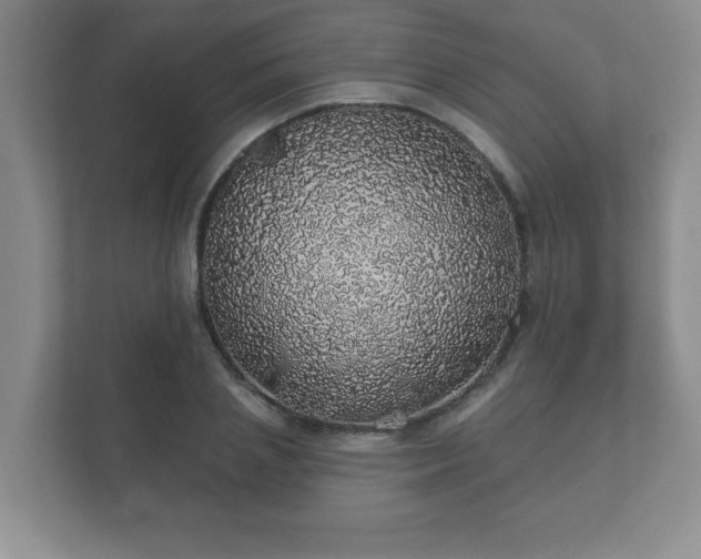 X0000112380837200908201520