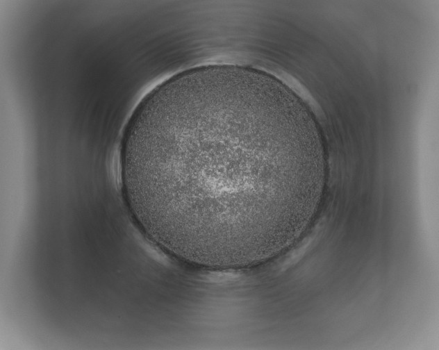 X0000112380838200908201520