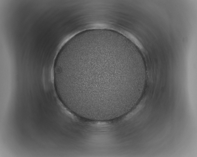 X0000112380839200908201520