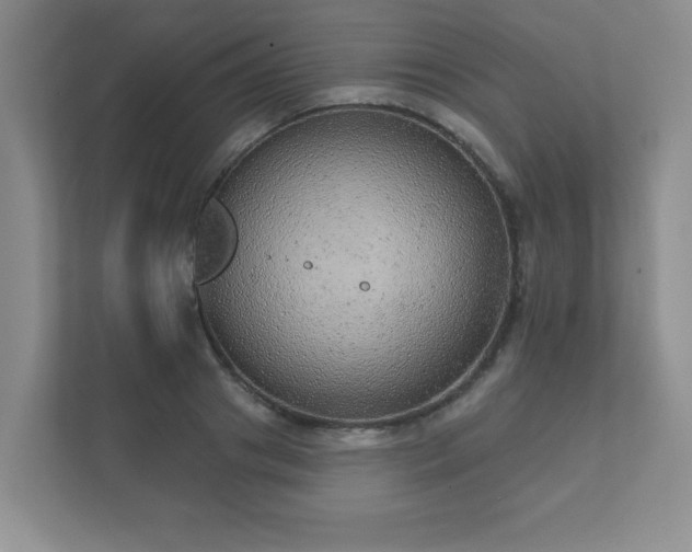 X0000112380841200908201520