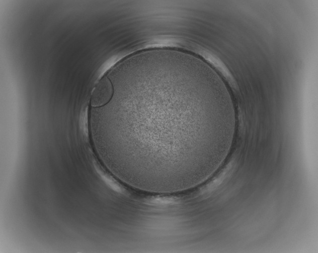 X0000112380842200908201520